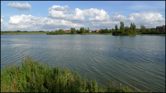 view-across-lake-body-of-water-trees-in-distance